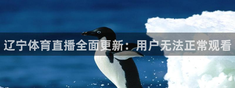 833直播足球比赛视频：辽宁体育直播全面更新：用户无法正常观看