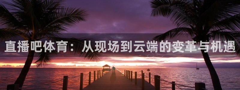 833直播比赛免费观看入口：直播吧体育：从现场到云端的变革与机遇