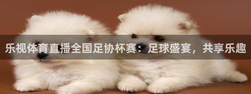 833直播体育app：乐视体育直播全国足协杯赛：足球盛宴，共享乐趣